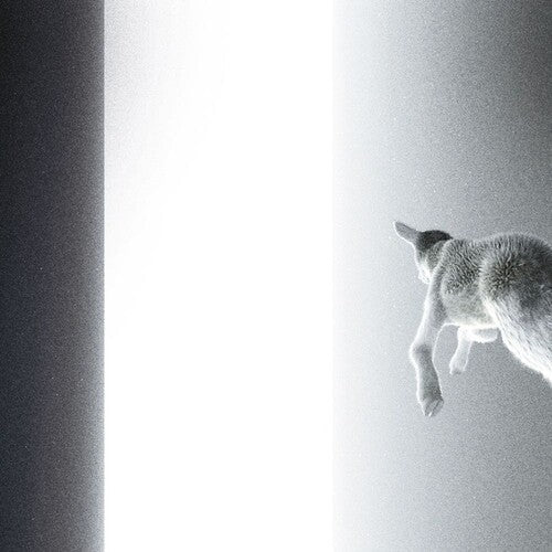 Panoram: Keep Looking Where The Light Comes From - Record