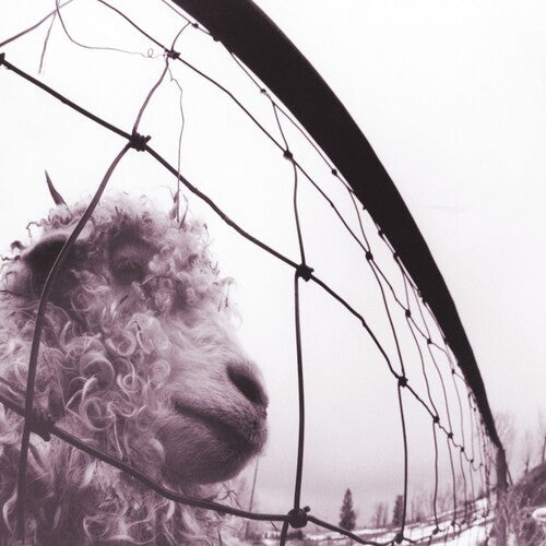Pearl Jam: Vs. (30th Anniversary Edition) - VINYL