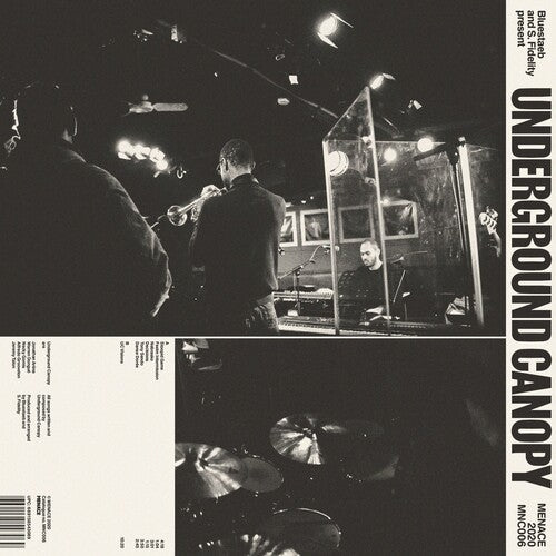 Bluestaeb & S.Fidelity & Underground Canopy: Bluestaeb & S.Fidelity Present Underground Canope - CD