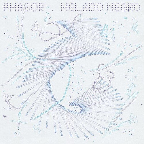 Helado Negro: Phasor - VINYL