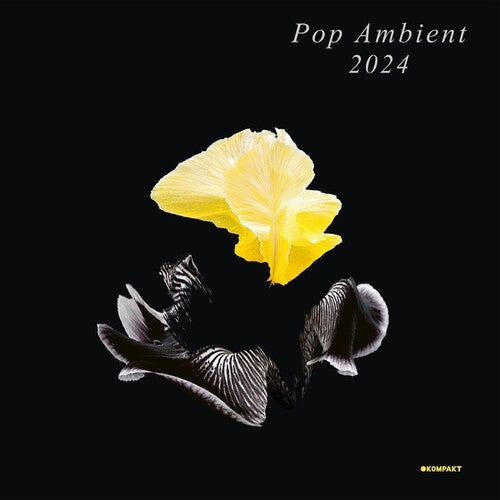 Various Artists: Pop Ambient 2024 - Record