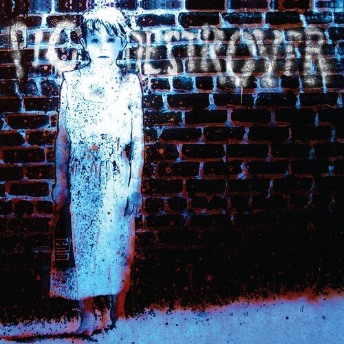 Pig Destroyer: Book Burner - VINYL