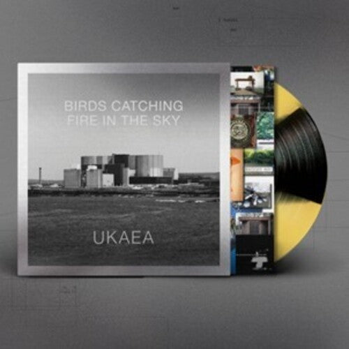 Ukaea: Birds Catching Fire In The Sky - Yellow & Black Vinyl - Record