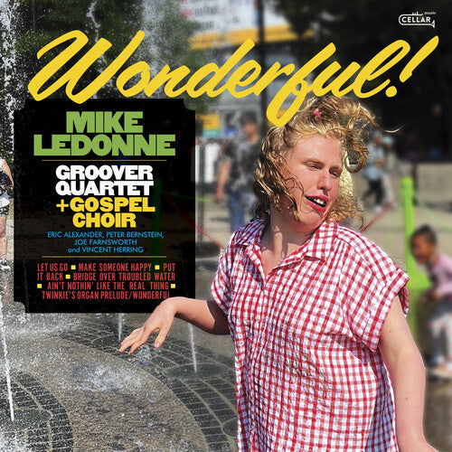 Ledonne, Mike & Groover Quartet: Wonderful - VINYL