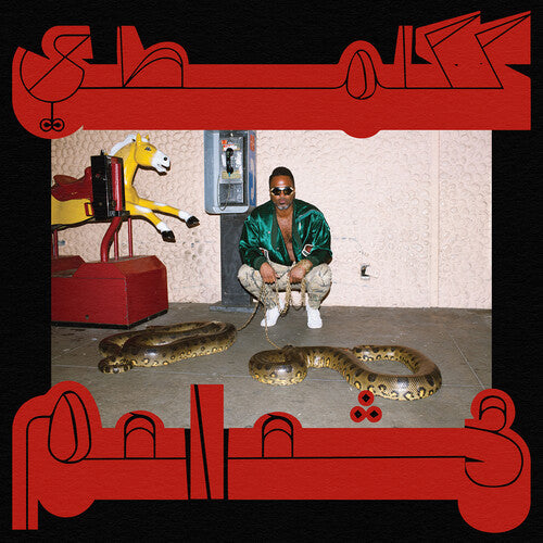 Shabazz Palaces: Robed in Rareness - Record