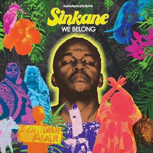 Sinkane: We Belong - VINYL
