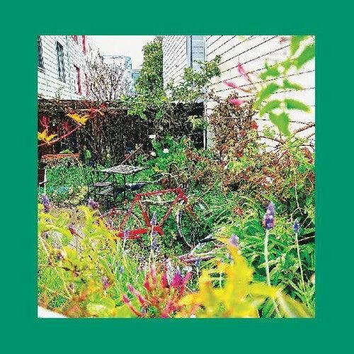 Unwishing Well { VINYL LP }