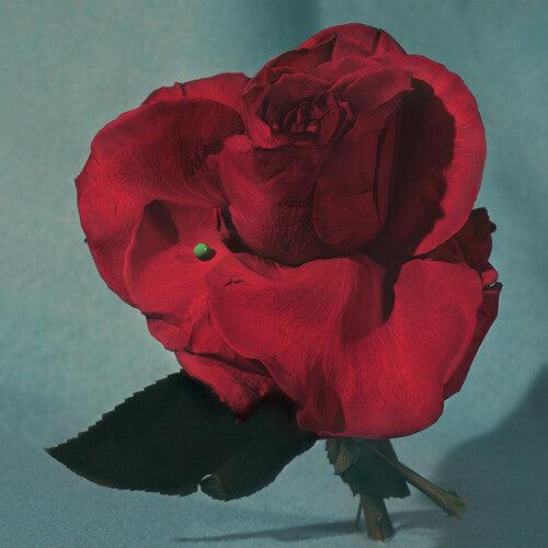 METZ- Up on Gravity Hill (Loser Edition) { VINYL LP }