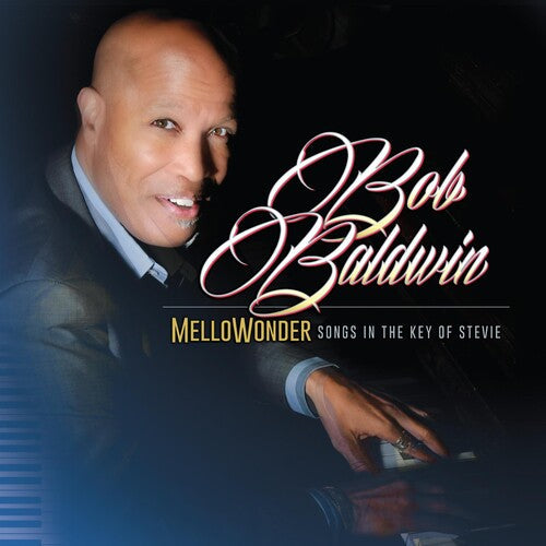 Bob Baldwin: Mellowonder- Songs In The Key Of Stevie - VINYL