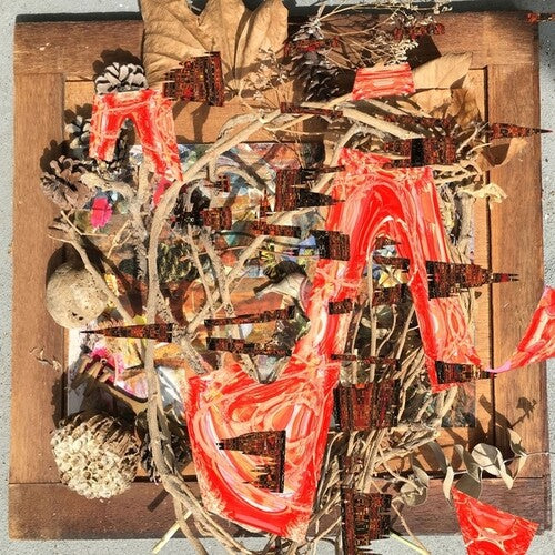 Merzbow: Tsubute Mosaic - Record