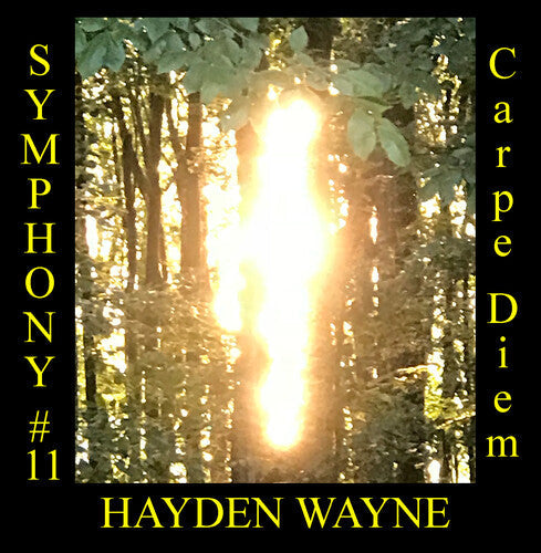 Hayden Wayne: Symphony #11: Carpe Diem - Record