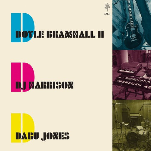 Doyle Bramhall: When the Music Is Over - VINYL