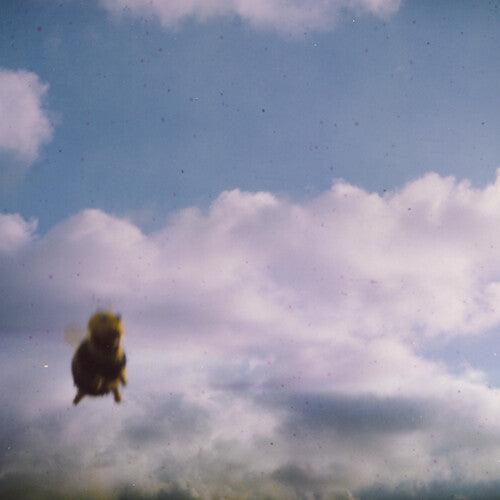 Pond- Stung! (Indie Exclusive Vinyl) { VINYL LP }
