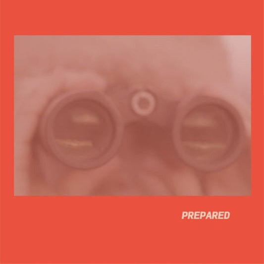 Laura Martin  J- Prepared - Rose Pink Vinyl (Uk) { VINYL LP }