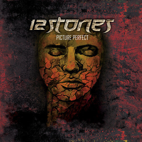 12 Stones: Picture Perfect - VINYL