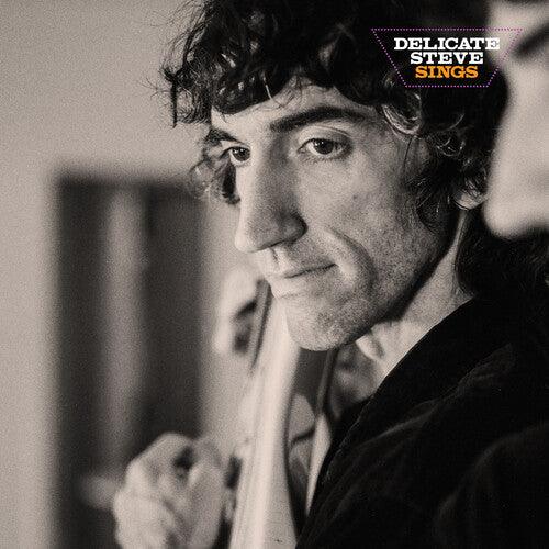 Delicate Steve- Delicate Steve Sings { VINYL LP }