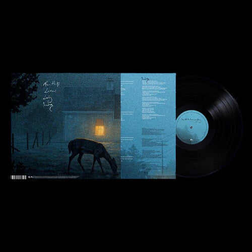 Dermot Kennedy: I've Told The Trees Everything - VINYL