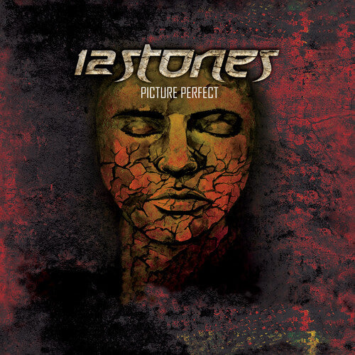 12 Stones: Picture Perfect - VINYL
