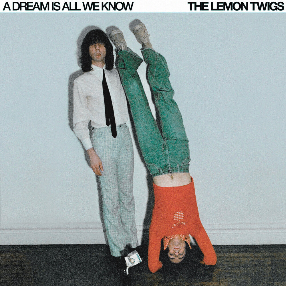 Lemon Twigs- Dream Is All We Know { VINYL LP }