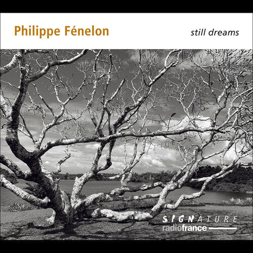 Gilles Ranticelli: Fenelon: Still Dreams - Record