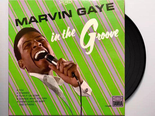 Marvin Gaye: In The Groove - VINYL
