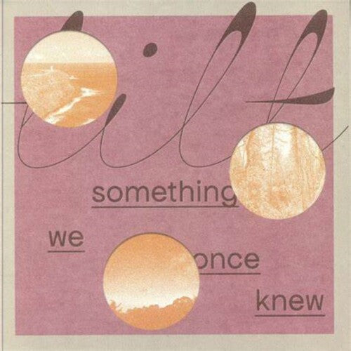 Tilt: Something We Once Knew - VINYL