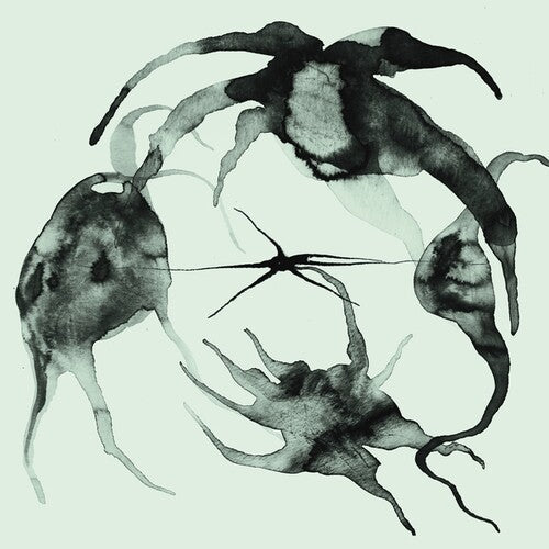 Kassel Jaeger: A Rift In the Horizon's Wall - Record