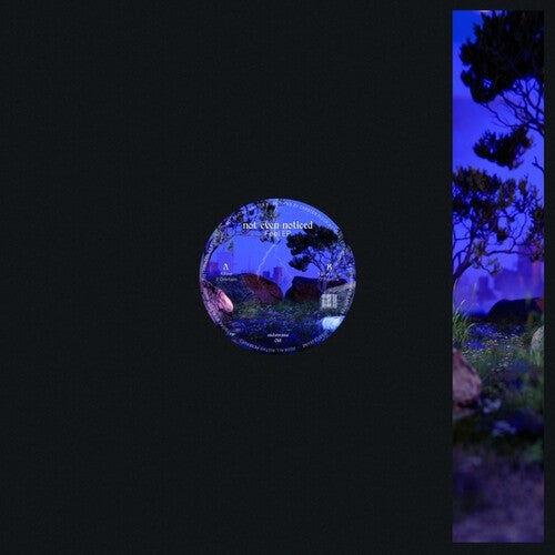 Not Even Noticed: Feel - 12-INCH SINGLE