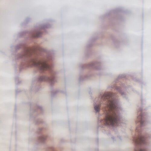 Ovid: Dream Sequence - 12-INCH SINGLE