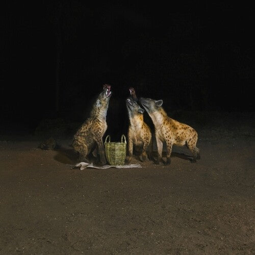 Years of Denial: Suicide Disco - Record