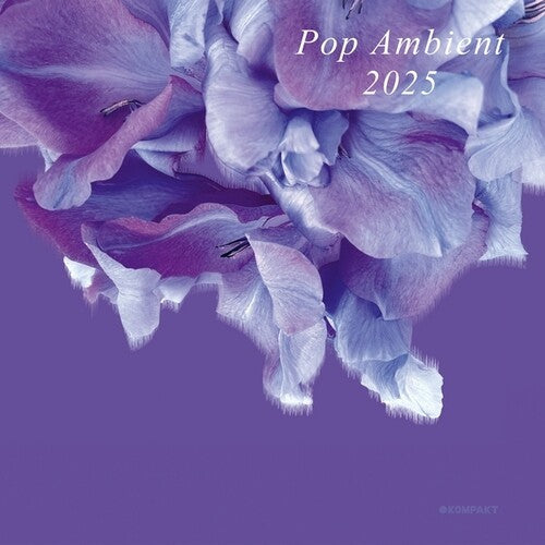 Various Artists: Pop Ambient 2025 - Record