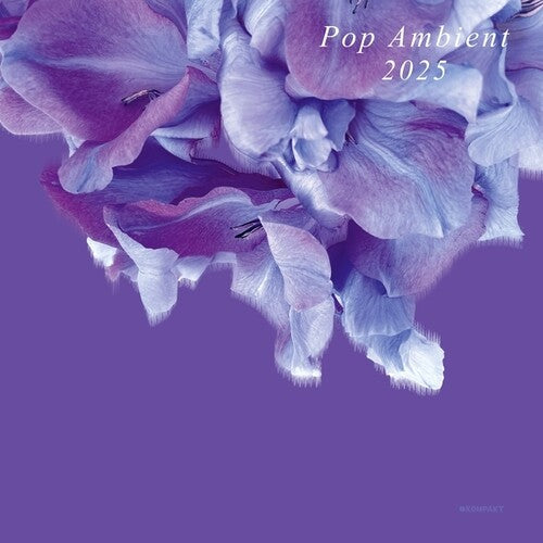 Various Artists: Pop Ambient 2025 - Record