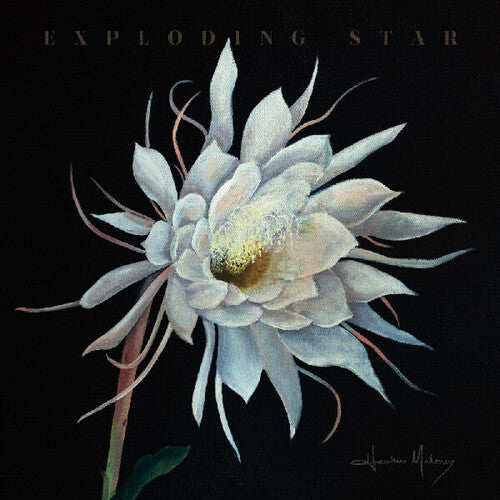 Heather Maloney- Exploding Star { VINYL LP }