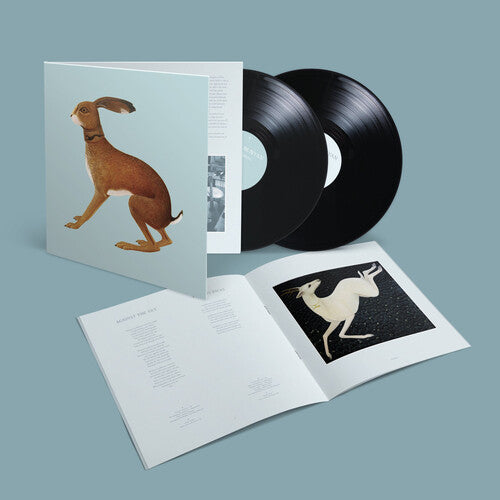 Vashti Bunyan- Lookaftering - Expanded { VINYL LP }