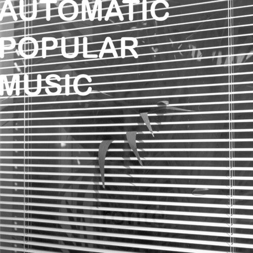 Nicola Ratti: Automatic Popular Music - Record