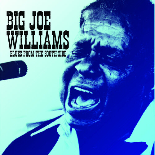 Big Joe Williams: Blues from the South Side - Record