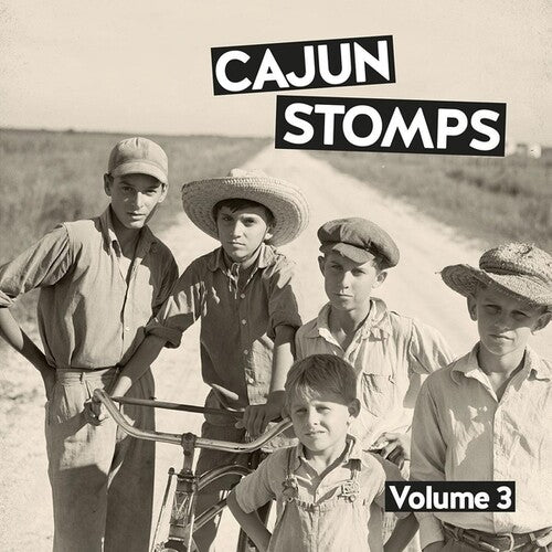 Various Artists: Cajun Stomps 03 - VINYL