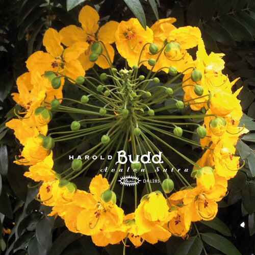 Harold Budd- Avalon Sutra { VINYL LP }