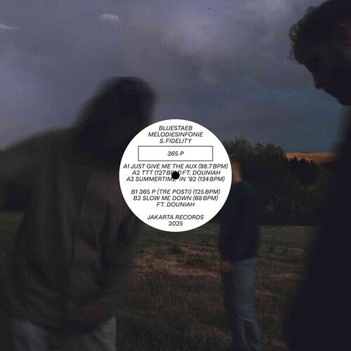 Bluestaeb: 365 P - Record