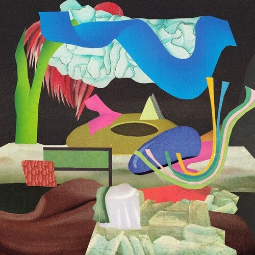 Saeko Killy: Dream In Dream - Record