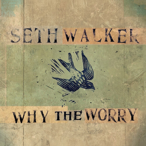 Seth Walker: Why The Worry - Record