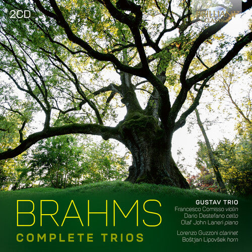 Simone Vallerotonda: Brahms: Complete Trios - Record