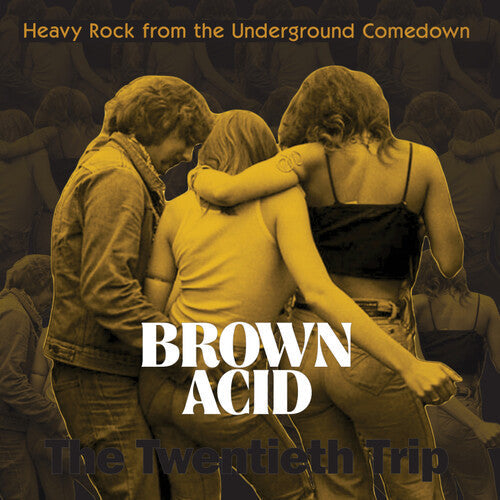 Various Artists: Brown Acid - The Twentieth Trip (Various Artists) - VINYL