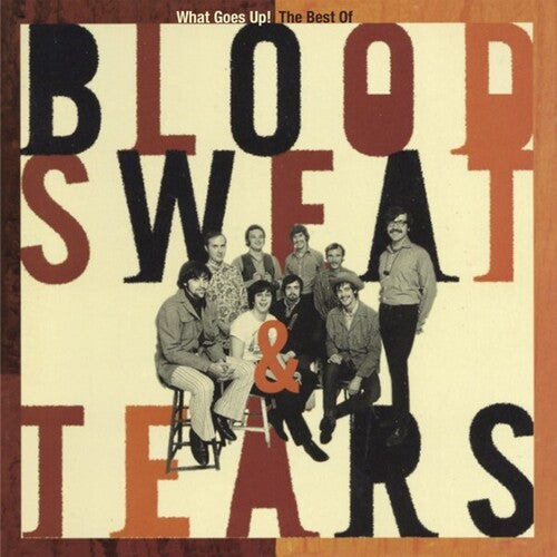 Blood Sweat & Tears: What Goes Up! The Best Of - CD