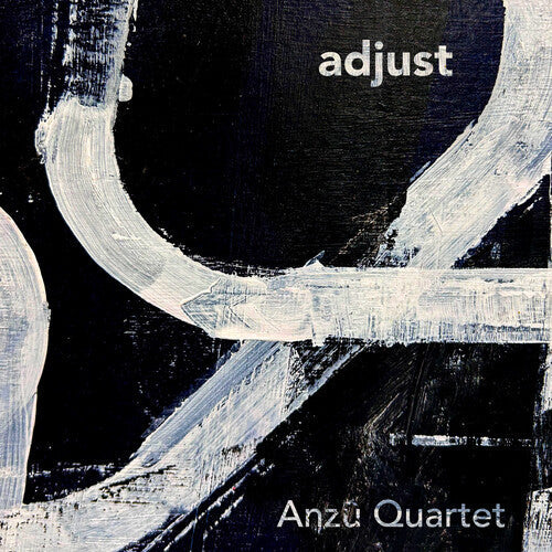 Anzu Quartet: adjust - Record