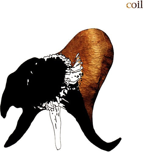Coil: Black Antlers - Record