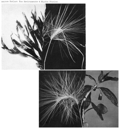 Andrew Pekler- New Environments And Rhythm Studies { VINYL LP }