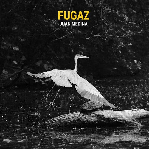 Juan Medina: Fugaz - VINYL