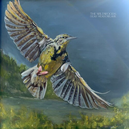 The Wildwoods: Dear Meadowlark - Record