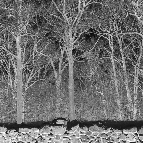 Pile: Sunshine and Balance Beams - CD